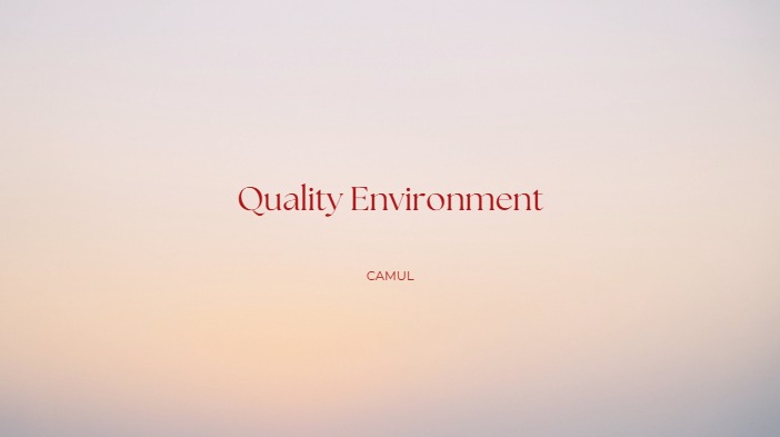 Quality Environment Assessment